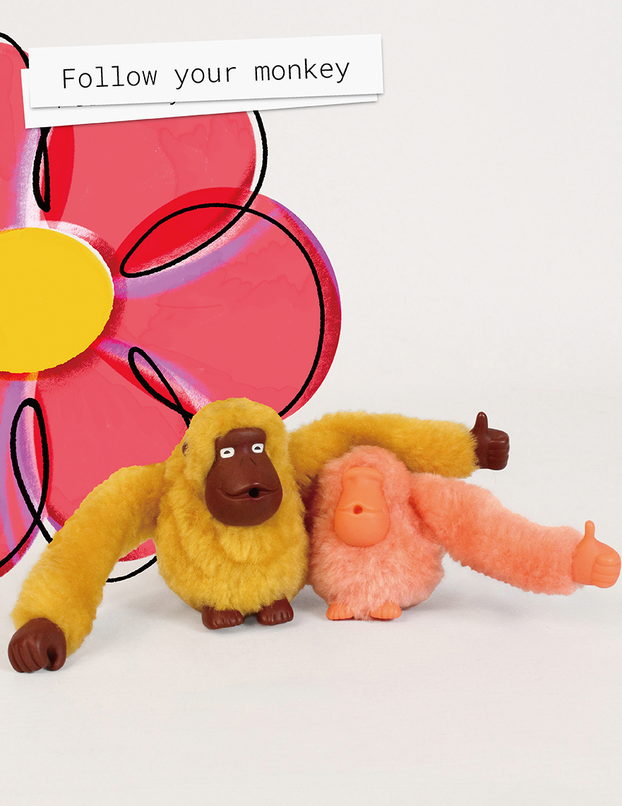 「Fllow your monkey」あなたのkipling「モンキー」をみつけて!