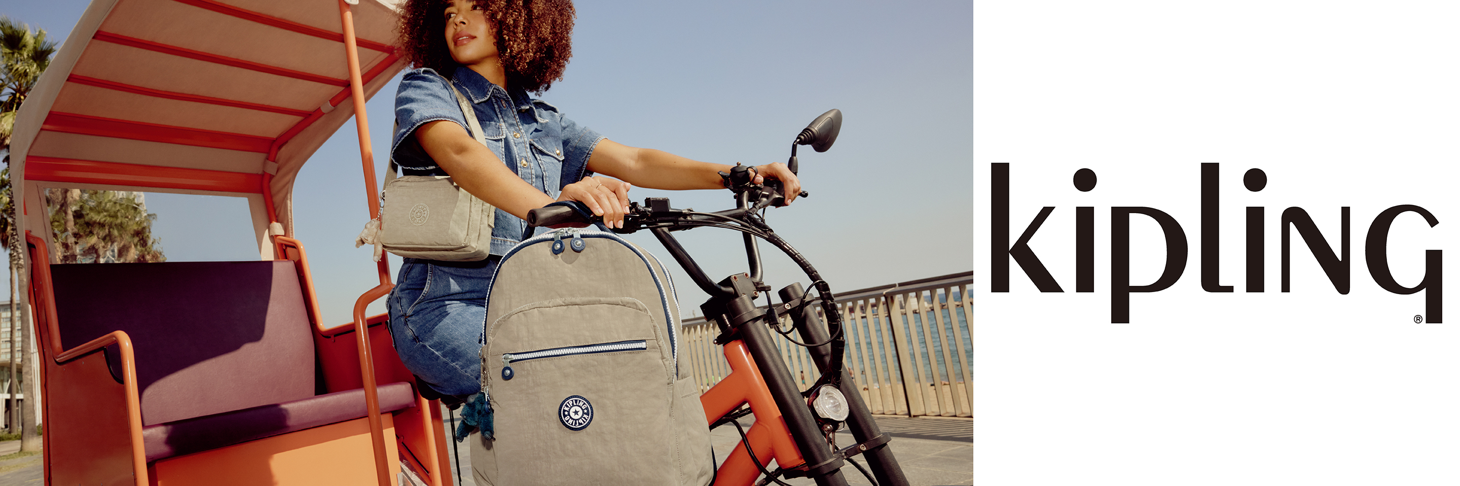 「Casual Blue C」「Soft Taupe C」