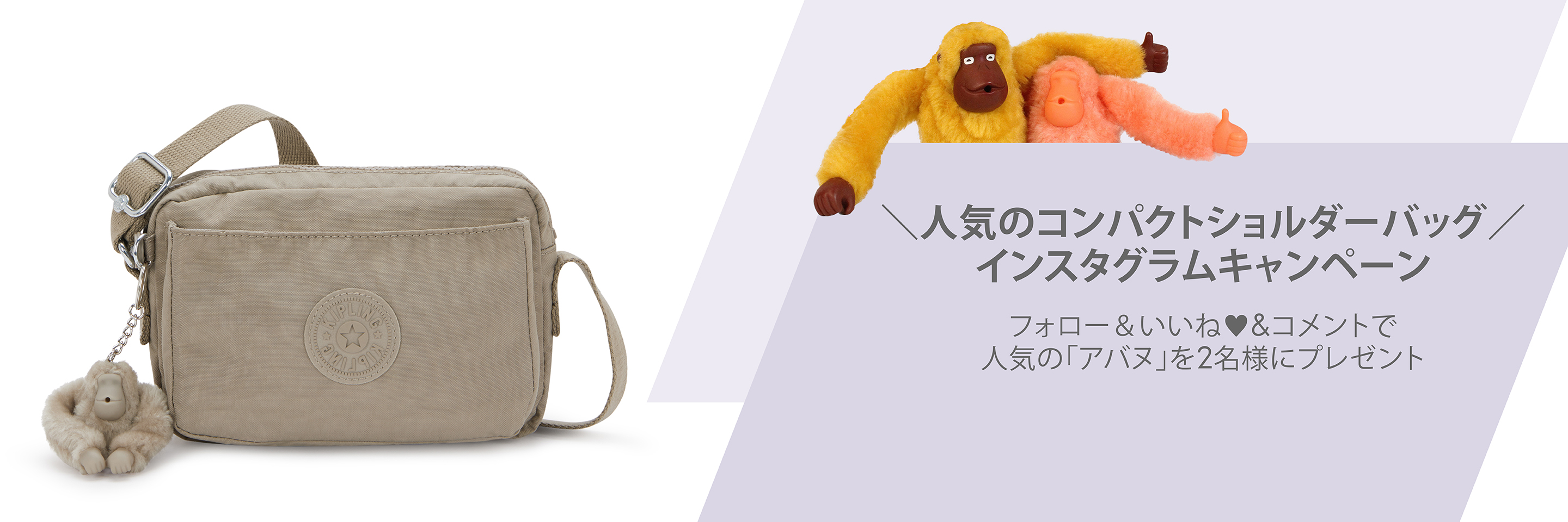 ＼人気のコンパクトショルダーバッグ／インスタグラムプレゼントキャンペーン