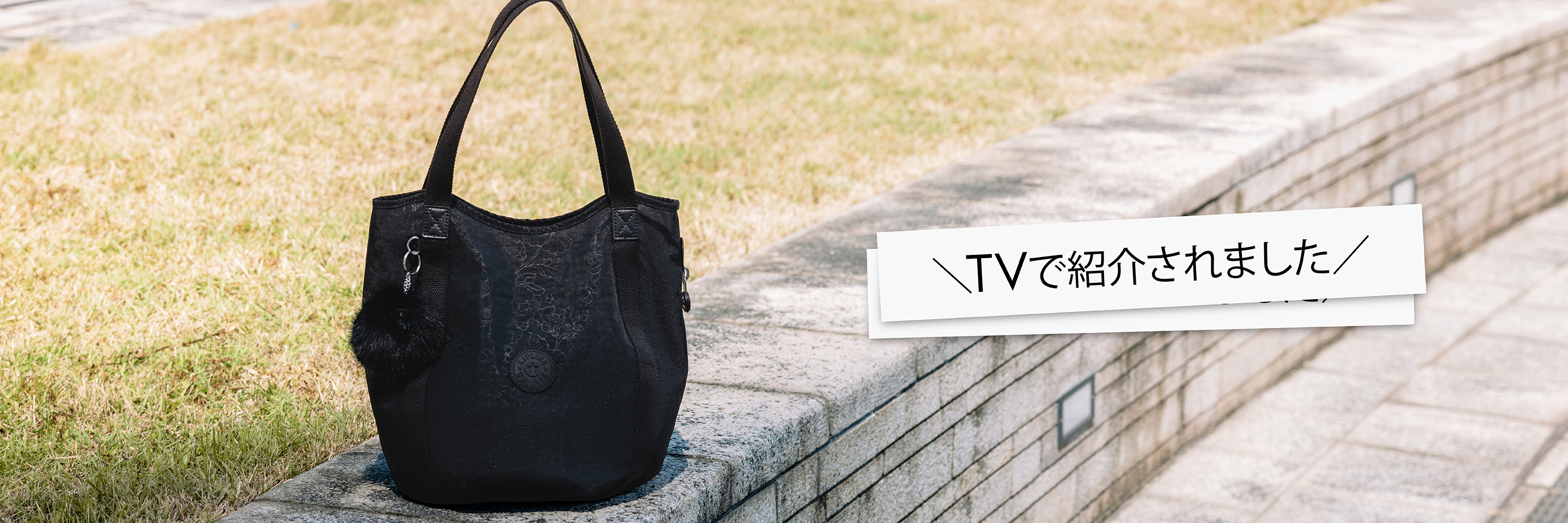 【TV露出情報】TBS「ひるおび」