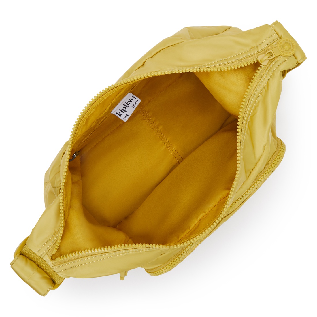 デイジーイエロー